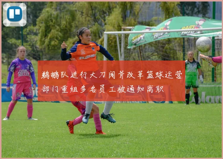 鹈鹕队进行大刀阔斧改革篮球运营部门重组多名员工被通知离职