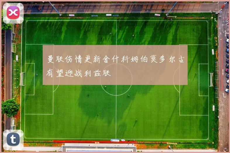 曼联伤情更新舍什科姆伯莫多尔古有望迎战利兹联