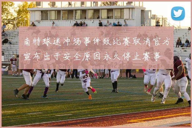 南特球迷冲场事件致比赛取消官方宣布出于安全原因永久停止赛事