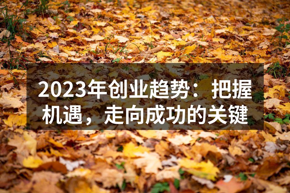 2023年创业趋势：把握机遇，走向成功的关键