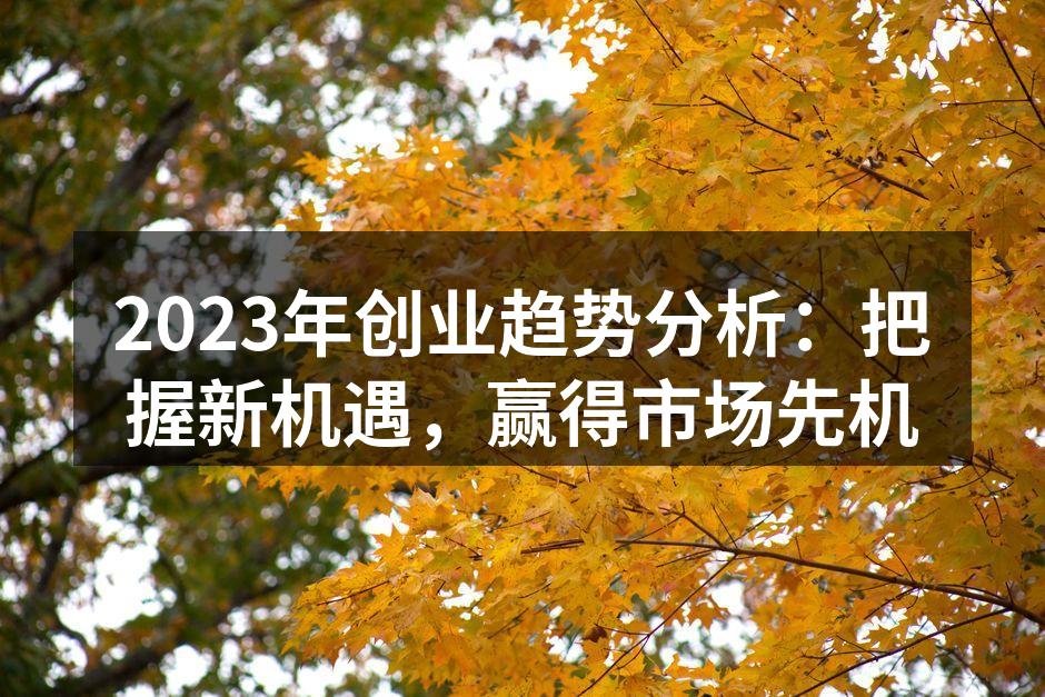 2023年创业趋势分析：把握新机遇，赢得市场先机