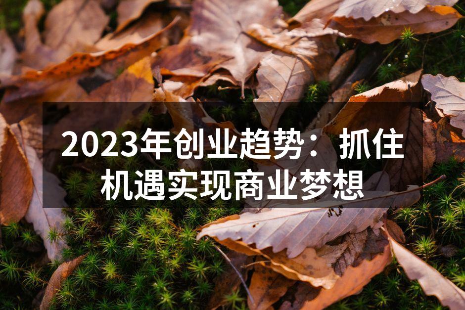 2023年创业趋势：抓住机遇实现商业梦想