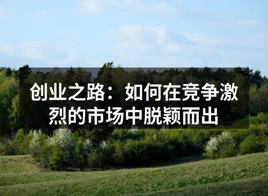 创业之路：如何在竞争激烈的市场中脱颖而出
